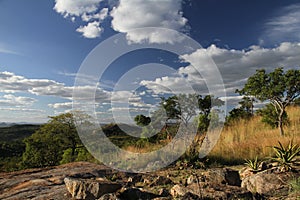 Landscape Bongani Lodge