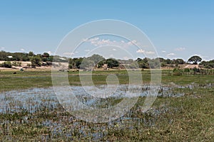 Landscape at Boteti River, Makgadikgadi National Park, Botswana