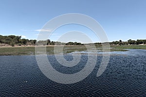 Landscape at Boteti River, Makgadikgadi National Park, Botswana