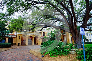 The landscape of Bradenton city hall