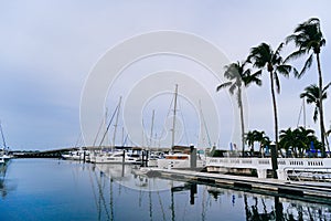 The landscape of Bradenton harbor and manatee river