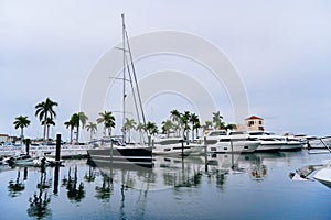 The landscape of Bradenton harbor and manatee river