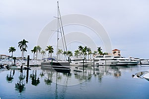 The landscape of Bradenton harbor and manatee river