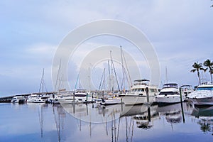 The landscape of Bradenton harbor and manatee river