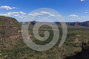 Landscape of the Brazilian cerrado.