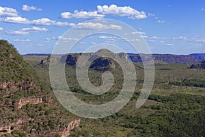 Landscape of the Brazilian cerrado.