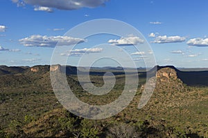 Landscape of the Brazilian cerrado.