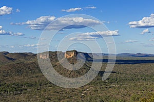 Landscape of the Brazilian cerrado.