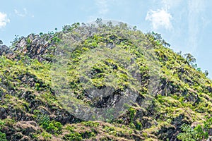 Landscape of the brazilian Cerrado Mineiro photo