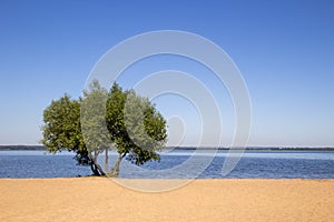 Landscape, bright day. Water travels, sand, sky