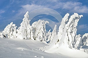 Landscape on Brocken Mountain,Harz Mountain,Germany