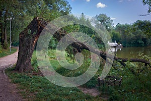 Landscape with a broken tree by the lake and an old marble bridge, soft focus, stylized