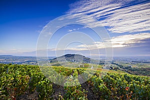 Landscape of Brouilly mountain and vineyards, Beaujolais, France
