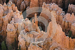 Landscape on the bryce canyon