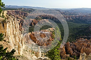 Landscape on the bryce canyon