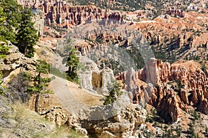 Landscape on the bryce canyon
