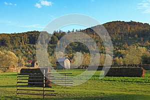 Landscape in Bucovina,Romania photo