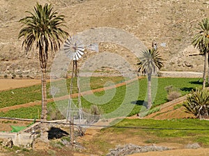 The landscape of the Buen Paso valley