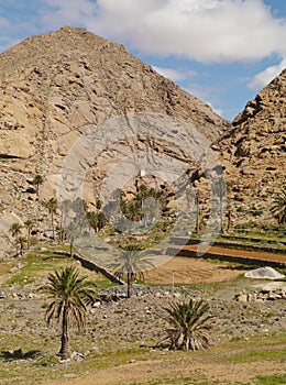 The landscape of the Buen Paso valley