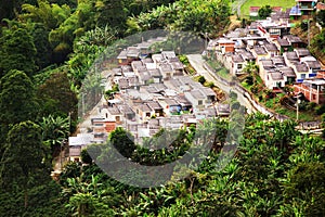 Landscape of Buenavista town, Quindio photo