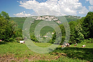 Landscape of Bugey region