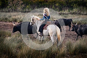 Landscape with bulls and guardians in Camargue photo