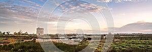 Landscape with bulls and guardians in Camargue photo