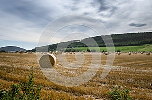 Landscape with bundles of hay in a dry field during the summer, Rosemarkie, Fortrose, UK