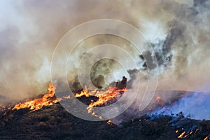 Landscape Burning with Bright Flames and Smoke during California Woolsey Fire