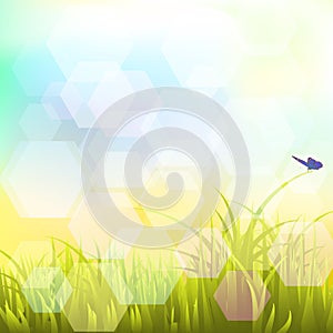 Landscape with butterflies Vector EPS 10 1