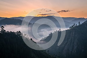 Landscape of Bwindi National Park, Uganda