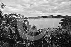 Landscape of Cabo Frio city fort. Brazil