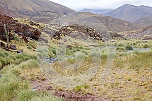Landscape and cactus along the Calchaqui Valley, Argentina