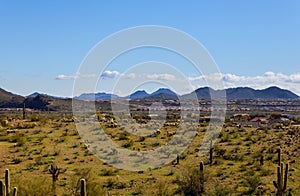 Landscape of the cactus and mountains city of panorama Phoenix, Arizona