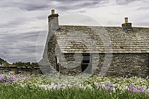 Landscape of Caithness countryside