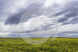 Landscape of Caithness countryside