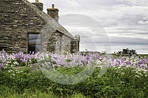 Landscape of Caithness countryside