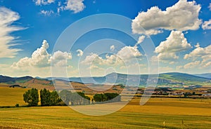 Landscape of the Camino de Santiago in Navarra