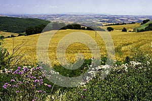 Landscape in Campobasso province, Molise, Italy