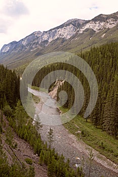 Landscape in the Canadian Rockies