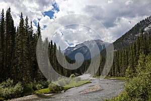 Landscape in the Canadian Rockies