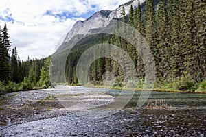 Landscape in the Canadian Rockies