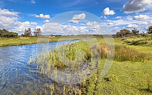 Landscape with canal in Amsterdamse waterleidingduinen