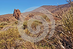 Landscape from the Canary Island of Tenerife in the center of the island with a cloudless sky