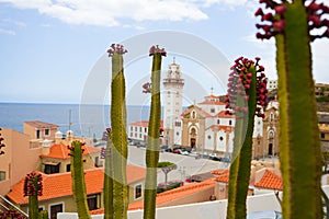 Landscape with Candelaria town on Tenerife.