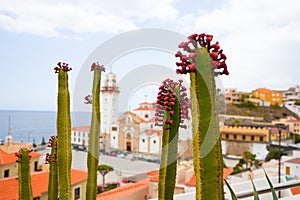 Landscape with Candelaria town on Tenerife.