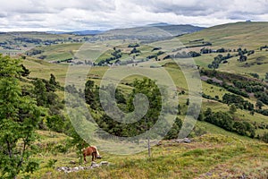 Landscape of Cantal - View of Segur-Les-Villas near Murat in the region Auvergne-RhÃ´ne-Alpes - France