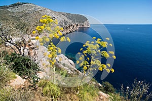 Landscape capo figari cala greca