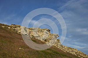 Landscape of Carcass Island in the Falklands