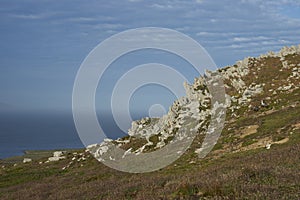 Landscape of Carcass Island in the Falklands